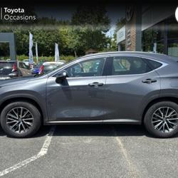 Lexus NX 350h Pack Business 2WD Distr&eacute;