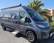 Profile Challenger Plougastel-Daoulas