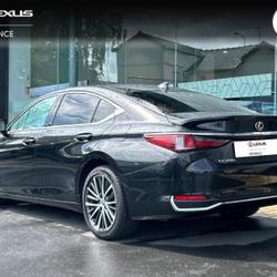 Lexus ES 300h Luxe MY25 Mondeville
