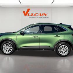 Ford Kuga Kuga 2.5 Duratec 180 ch FlexiFuel FHEV Bio&eacute;thanol Powershift Titanium Business Vienne