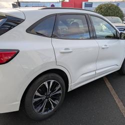 Ford Kuga 2.0 EcoBlue 150ch mHEV ST-Line Carcassonne