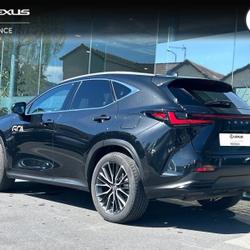 Lexus NX 450h+ Executive 4WD MY24 Mondeville