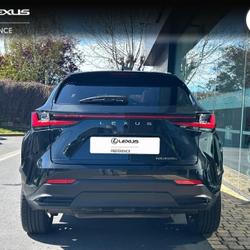 Lexus NX 450h+ Executive 4WD MY24 Mondeville