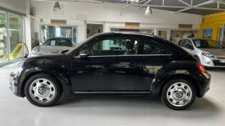 Volkswagen Coccinelle  - photo 2