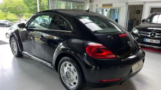 Volkswagen Coccinelle  - photo 3