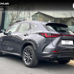 Lexus NX 350h Pack 2WD Mondeville