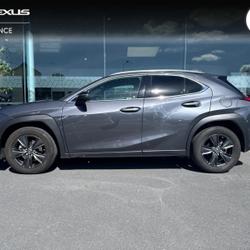 Lexus UX 250h 2WD Luxe Mondeville