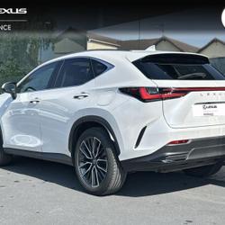 Lexus NX 450h+ Executive 4WD MY25 Mondeville