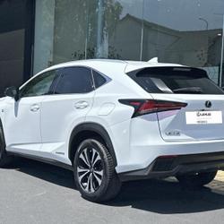 Lexus NX 300h 4WD F SPORT Mondeville