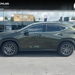 Lexus NX 350h Luxe 2WD MY24 Mondeville
