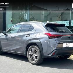 Lexus UX 250h 2WD Luxe MY19 Mondeville