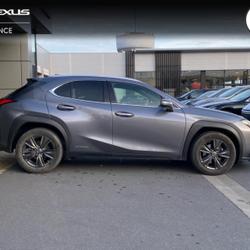 Lexus UX 250h 2WD Luxe MY21 Mondeville