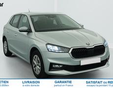Skoda Fabia Bruz