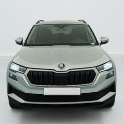 Skoda Karoq 2.0 TDI 116 ch SCR DSG7 Business Bruz