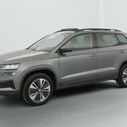 Skoda Karoq 2.0 TDI 116 ch SCR DSG7 Business Trappes