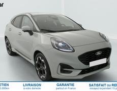Ford Puma Bruz