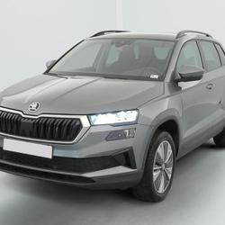 Skoda Karoq 2.0 TDI 116 ch SCR DSG7 Business Saint-Priest