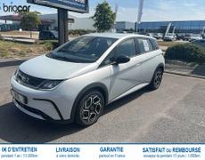 BYD Dolphin Trappes