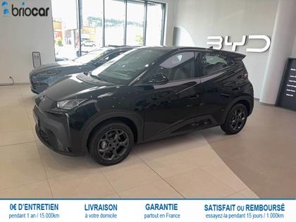 BYD Dolphin Surf - 43.2 kWh 88 ch Boost 5p - 21 890 €