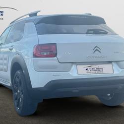 Citroen C4 Cactus PureTech 110 S&S Shine Edition La Montagne