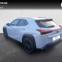 Lexus UX 250h 2WD Pack Confort Business MY20 Lanester
