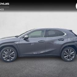 Lexus UX 300h F SPORT Design 2WD MC25 Lanester