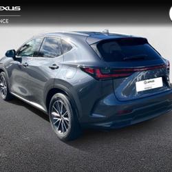 Lexus NX 350h Luxe 2WD MY24 occasion - Lanester - photo 2/23