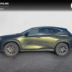 Lexus NX 350h 2WD Luxe MY25 occasion - Lanester - photo 3/23