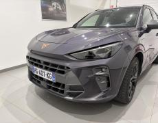 Cupra Terramar Belfort