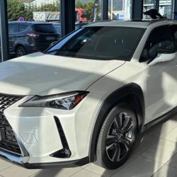 Lexus UX 250h 4WD Executive MY21 occasion - Gex - photo 3/22