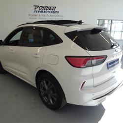 Ford Kuga Kuga 2.0 EcoBlue 150 mHEV S&S BVM6 ST-Line X Argentan