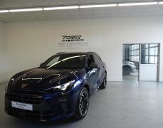 Cupra Terramar Cerisé