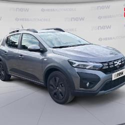 Dacia Sandero 1.0 ECO-G 100ch Stepway Expression -24 Colmar