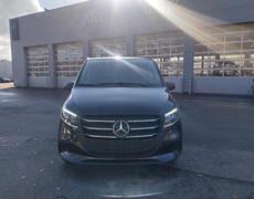 Mercedes Vito Cesson-Sévigné