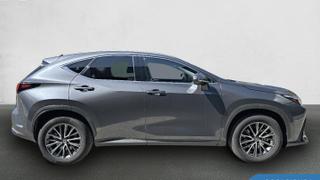 Lexus NX  - photo 3