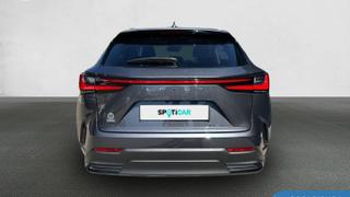 Lexus NX  - photo 4