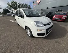 Fiat Panda - 1.0 70CH BSG S&S - 14 990 €