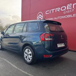 Citroen C4 Spacetourer BLUEHDI 130CH S&S BUSINESS EAT8 E6.D Guer