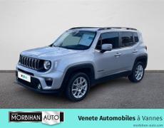 Jeep Renegade Vannes