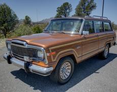Jeep Wagoneer Lyon 2e Arrondissement