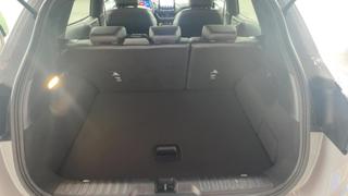 Ford Puma  - photo 4