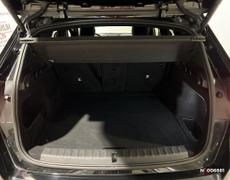 BMW X1 Rivery