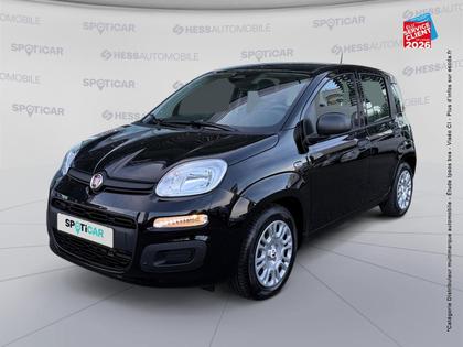 Fiat Panda - Pandina 1.0 65ch BSG S&S Hybrid Icône - 14 499 €