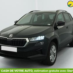 Skoda Karoq 2.0 TDI 116 ch SCR DSG7 Business Saint-Fons