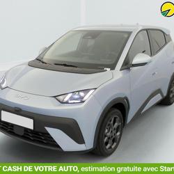 BYD Dolphin SURF 43.2 kWh 156 ch Comfort Saint-Fons