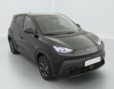 BYD Dolphin Hénin-Beaumont