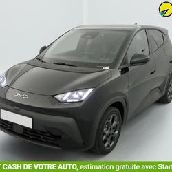 BYD Dolphin SURF 43.2 kWh 156 ch Comfort Saint-Fons