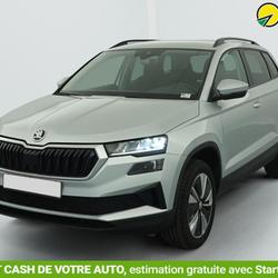 Skoda Karoq 2.0 TDI 116 ch SCR DSG7 Business Saint-Fons