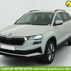 Skoda Karoq 2.0 TDI 116 ch SCR DSG7 Business Saint-Fons