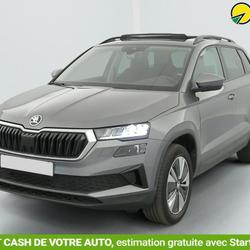 Skoda Karoq 2.0 TDI 116 ch SCR DSG7 Business Saint-Fons